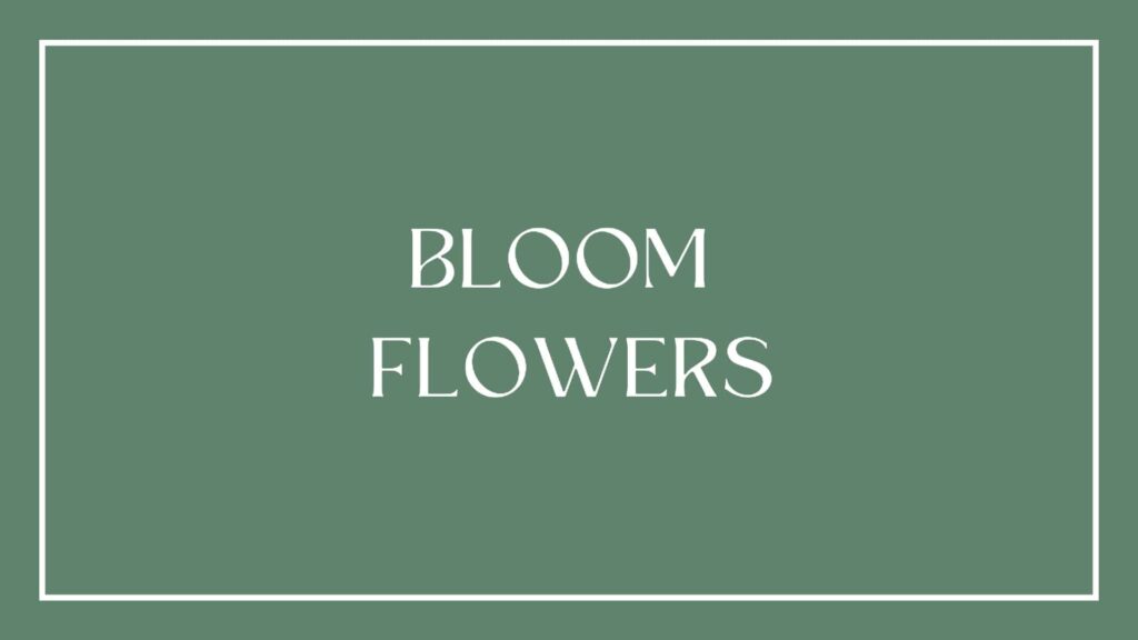 bloom-flowers