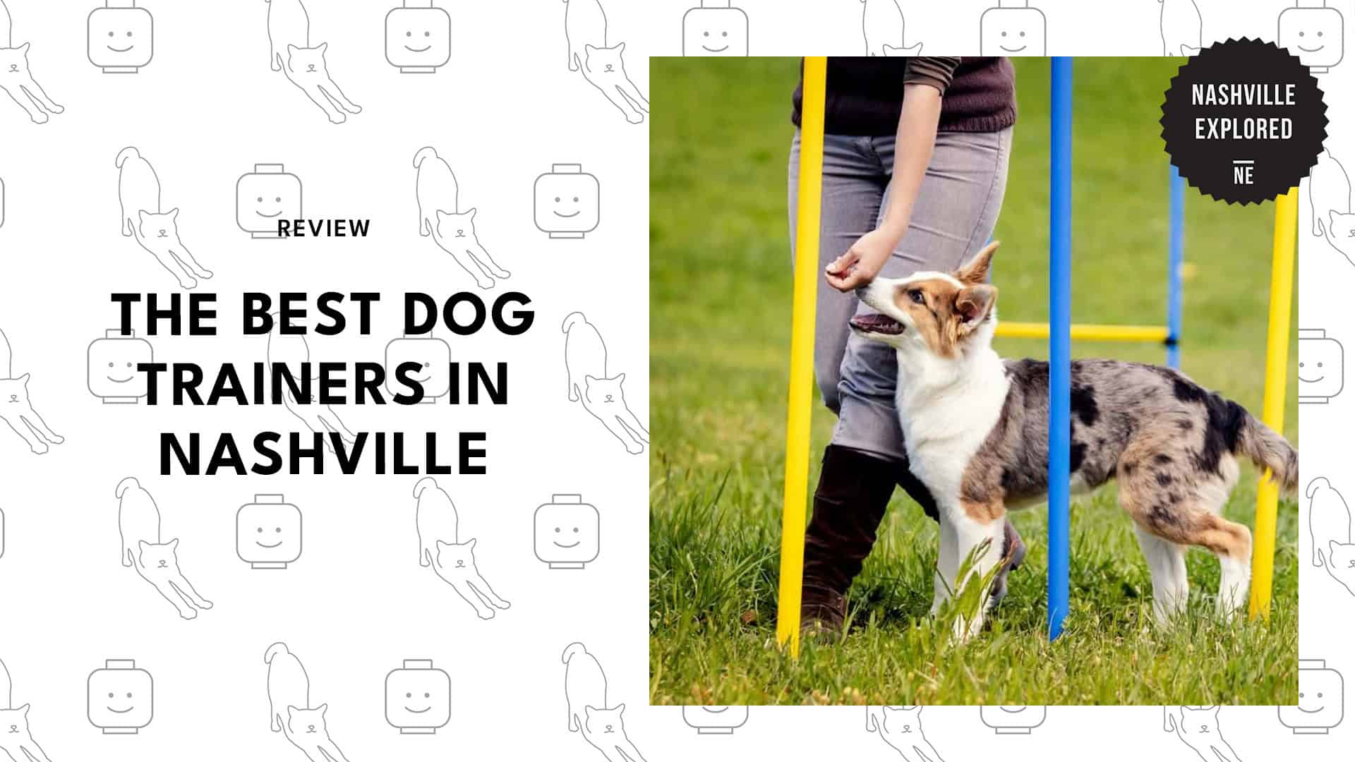 dog-trainers-in-nashville