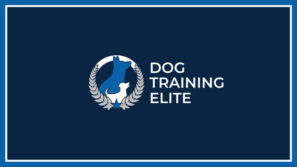 dog-training-elite-central-nashville