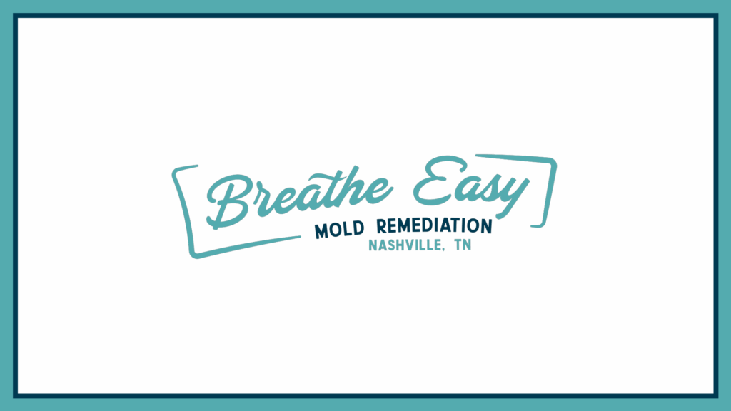 breathe-easy-mold-remediation-logo