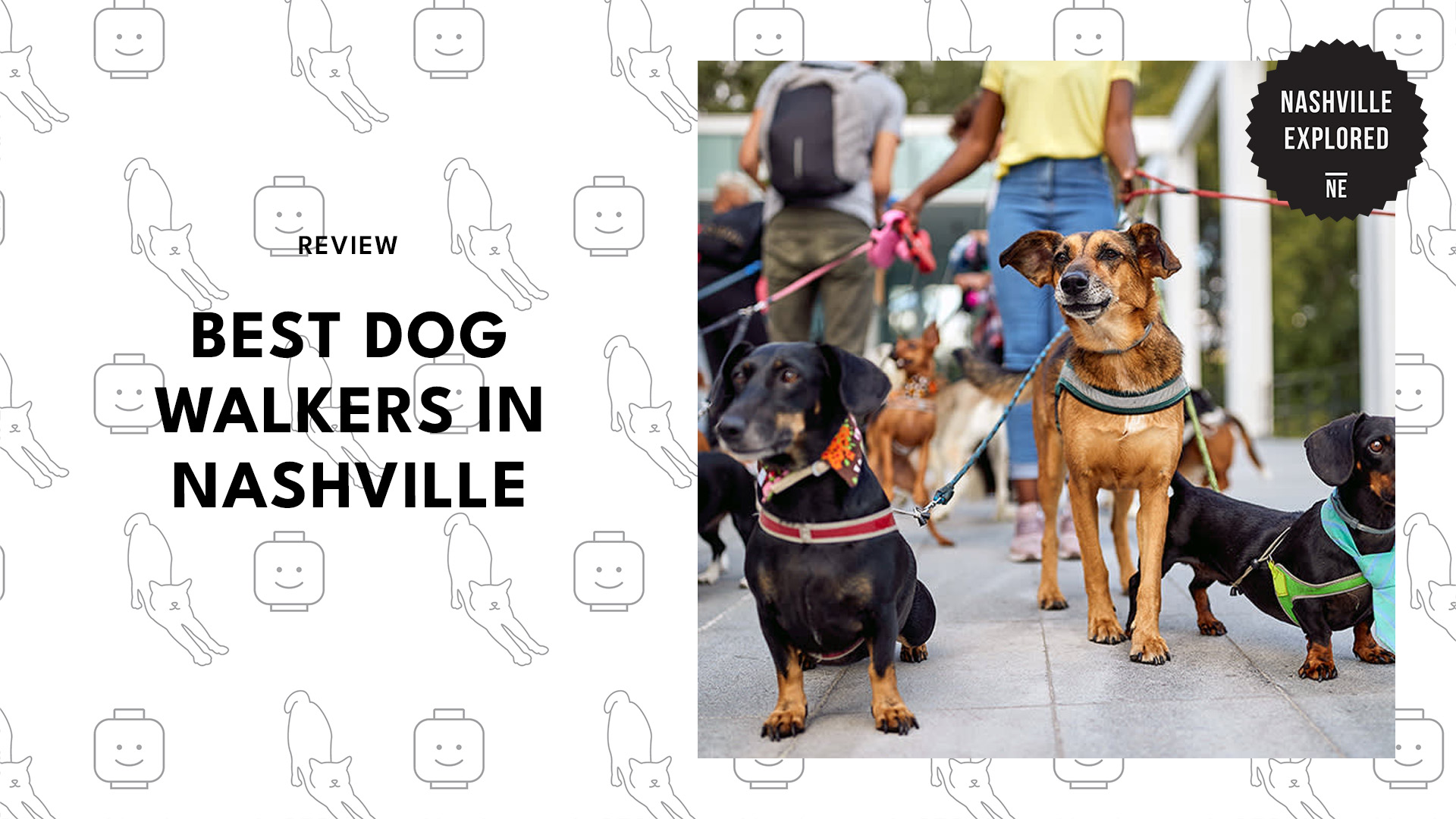 best-dog-walkers-nashville-banner