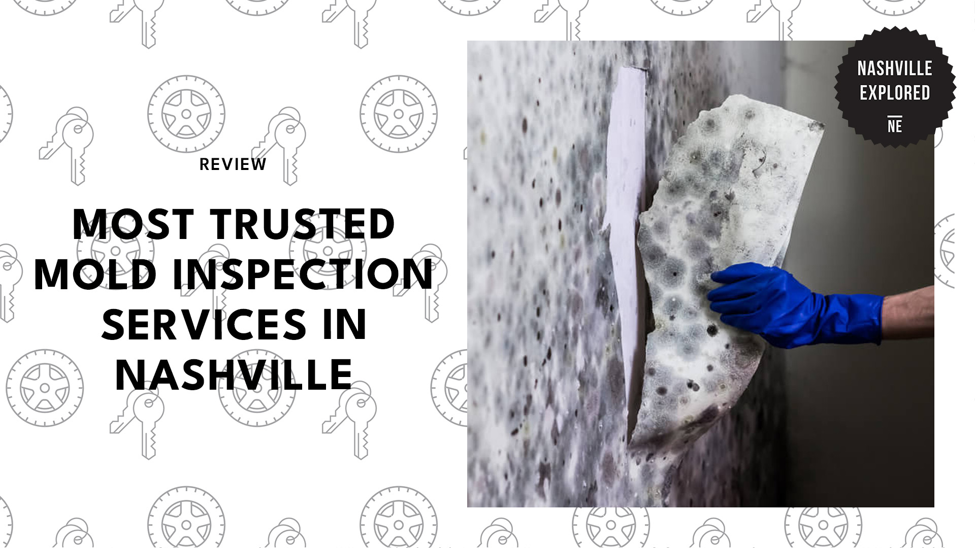 best-mold-inspectors-nashville-banner