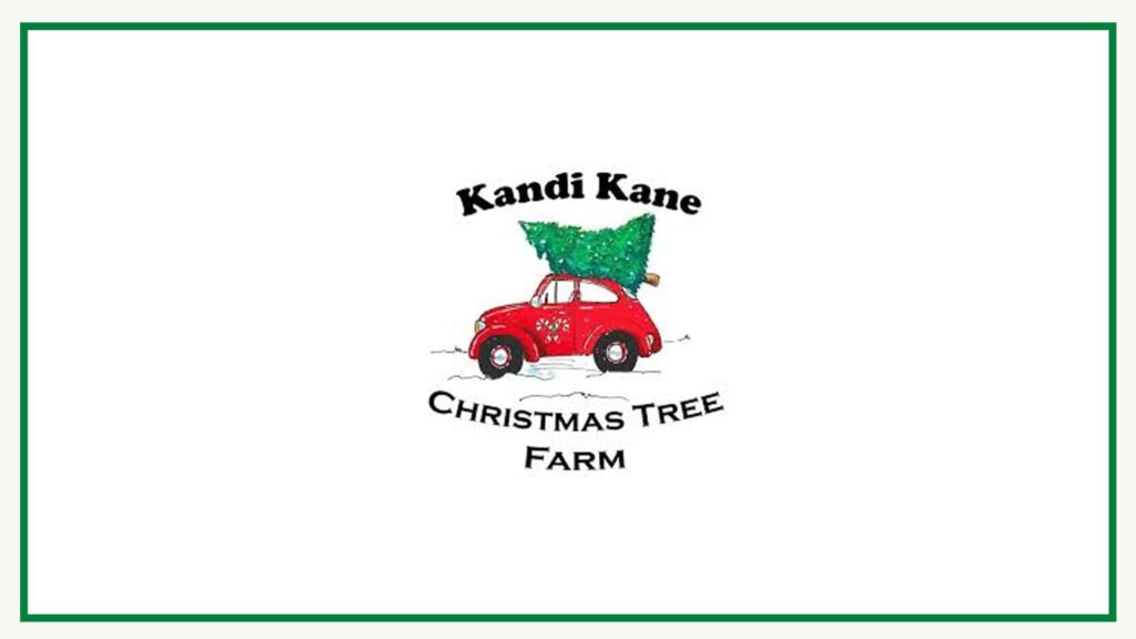 kandi-kane-christmas-tree-farm