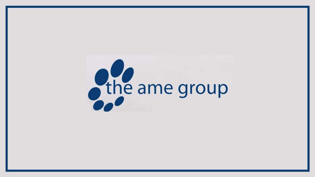 the-ame-group