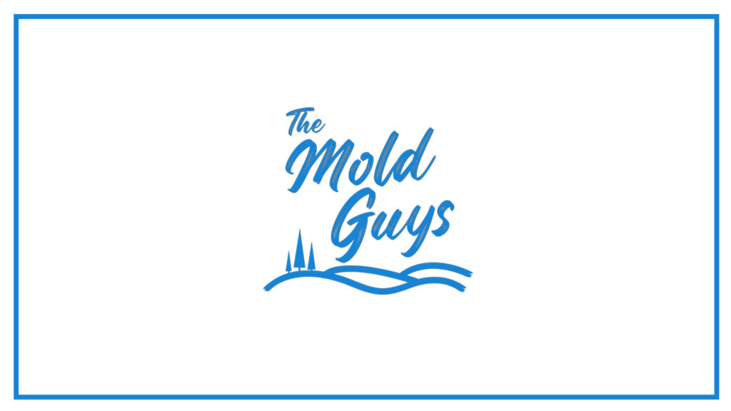 the-mold-guys-logo