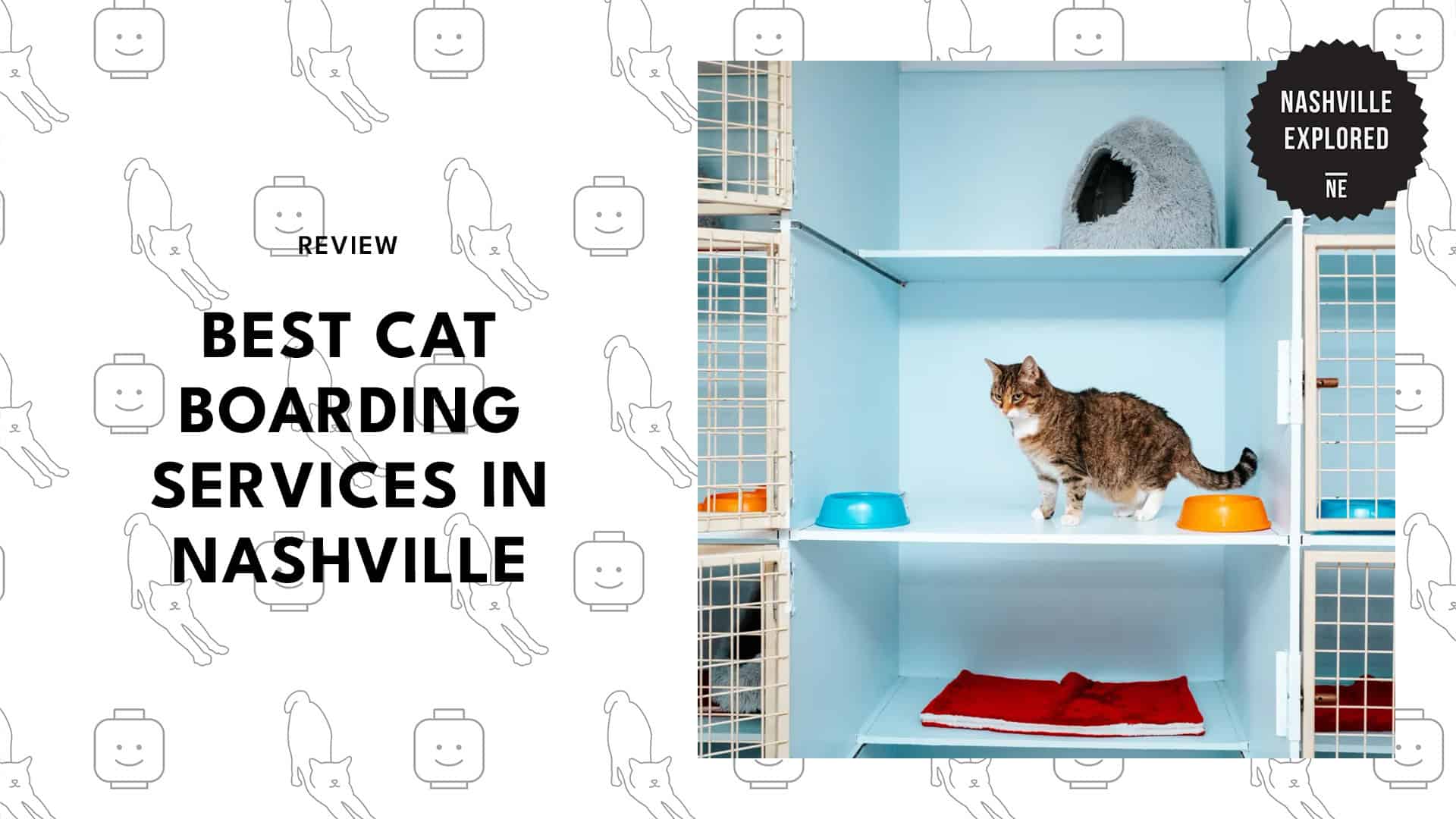 best-cat-boarding-nashville