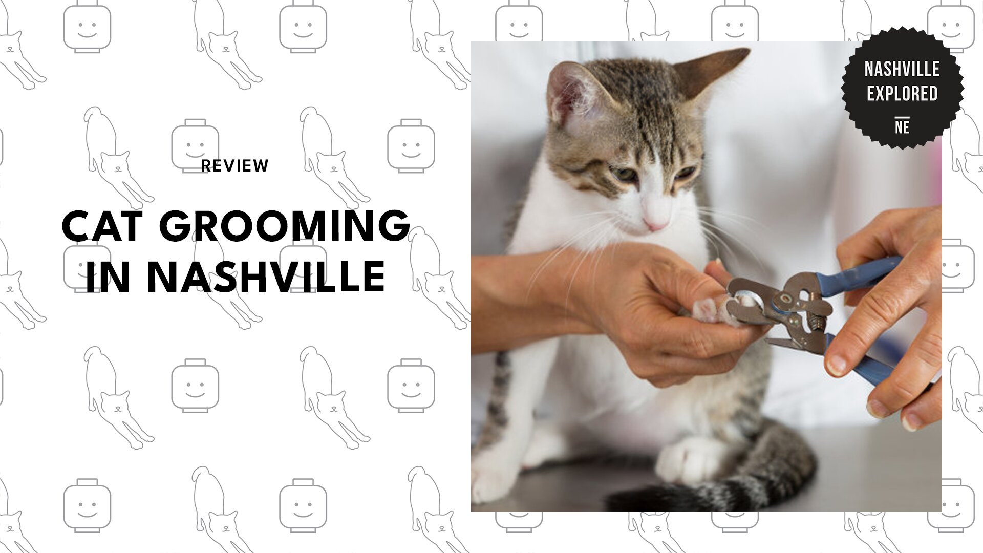 best-cat-grooming-nashville-banner