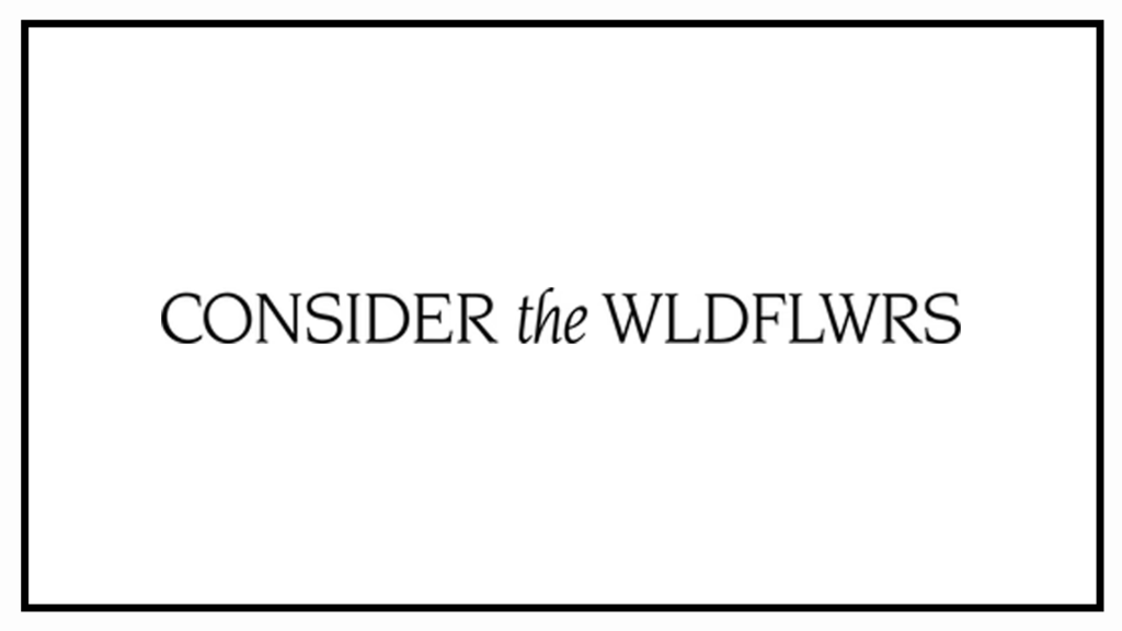 consider-the-wldflwrs-flagship-logo