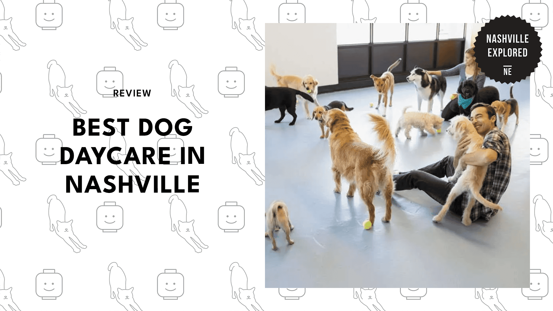 dog-daycare-in-nashville