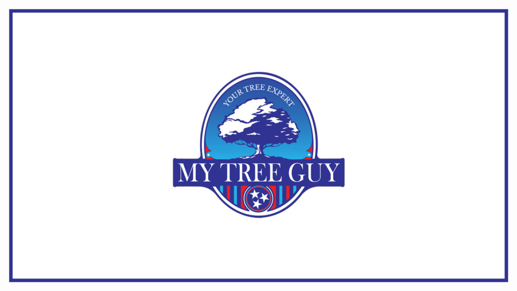 my-tree-guy-logo