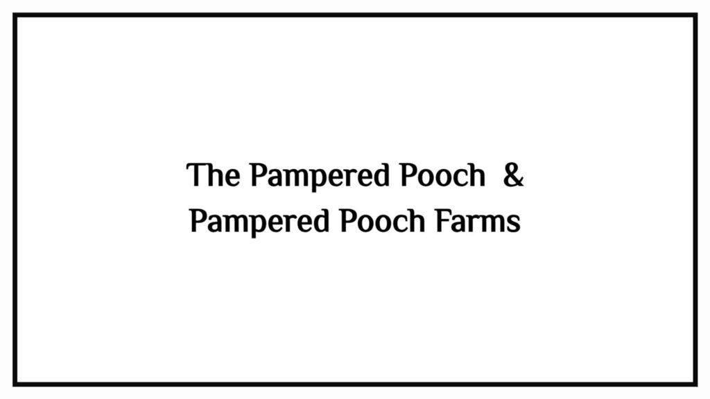 the-pampered-pooch-pet-spa-resort
