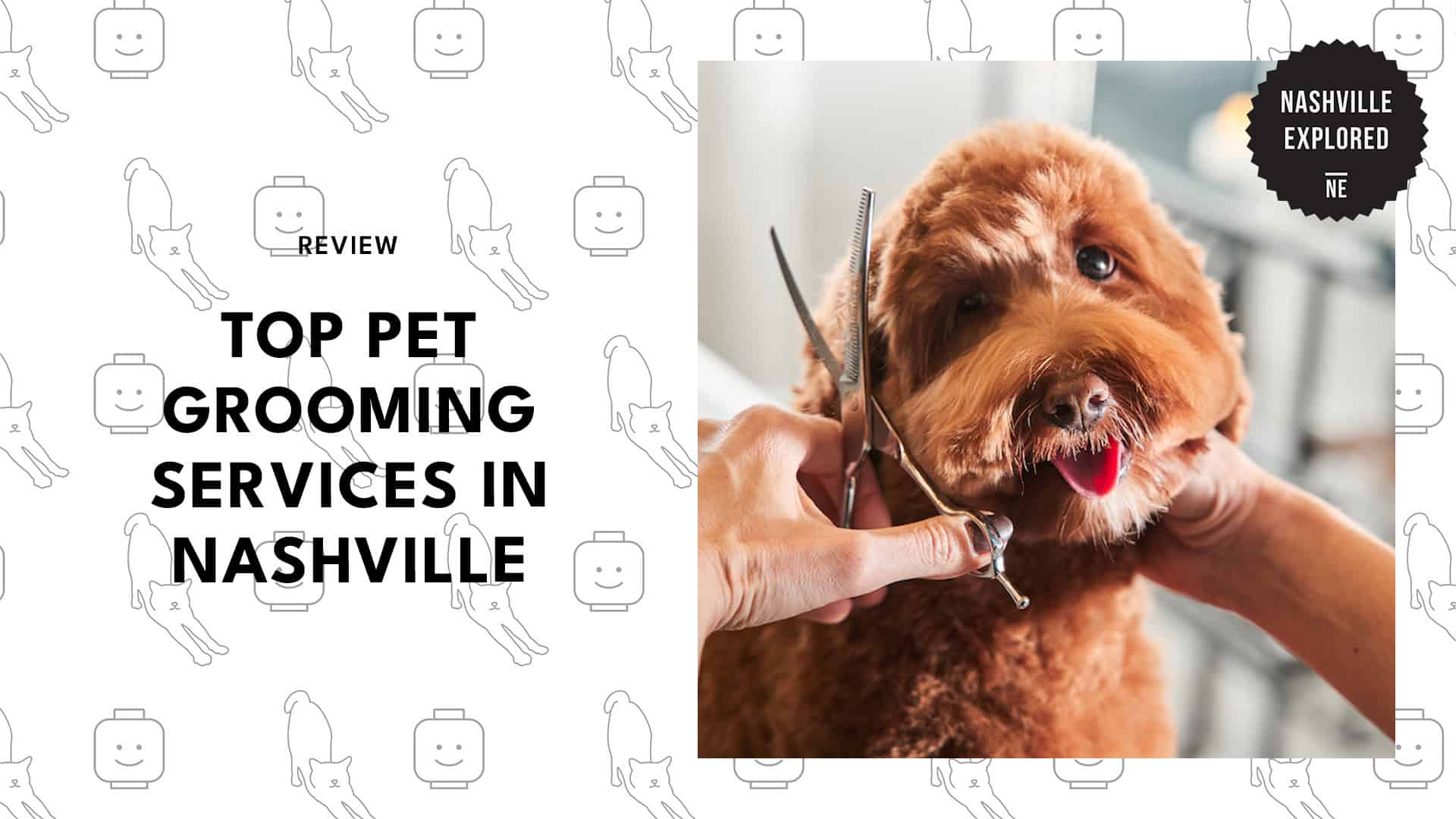 top-pet-grooming-nashville