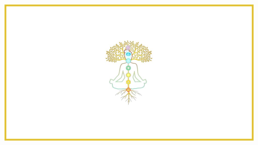 transcendence-by-meenu