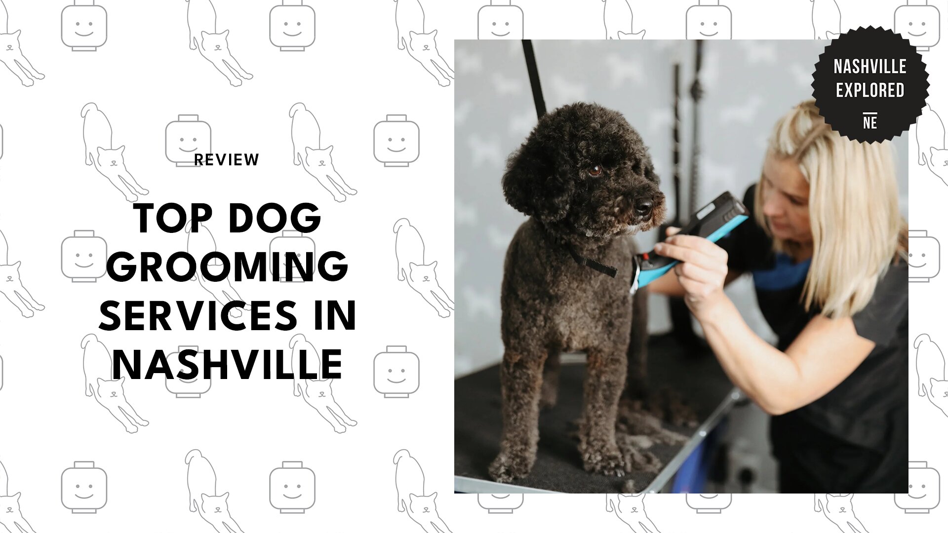 top-dog-grooming-nashville-banner