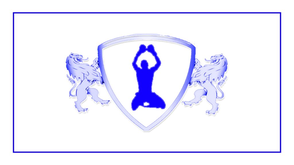 swiftkick-mma-and-boxing-logo